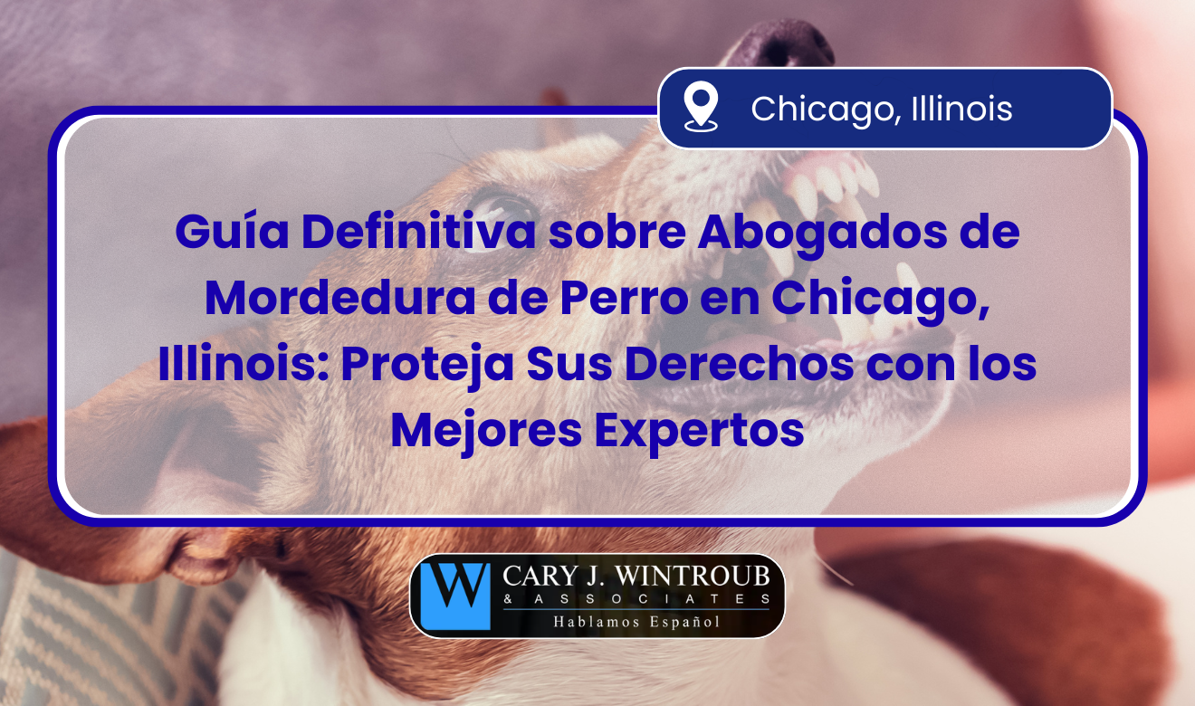 abogados de mordedura de perro en Chicago, Illinois